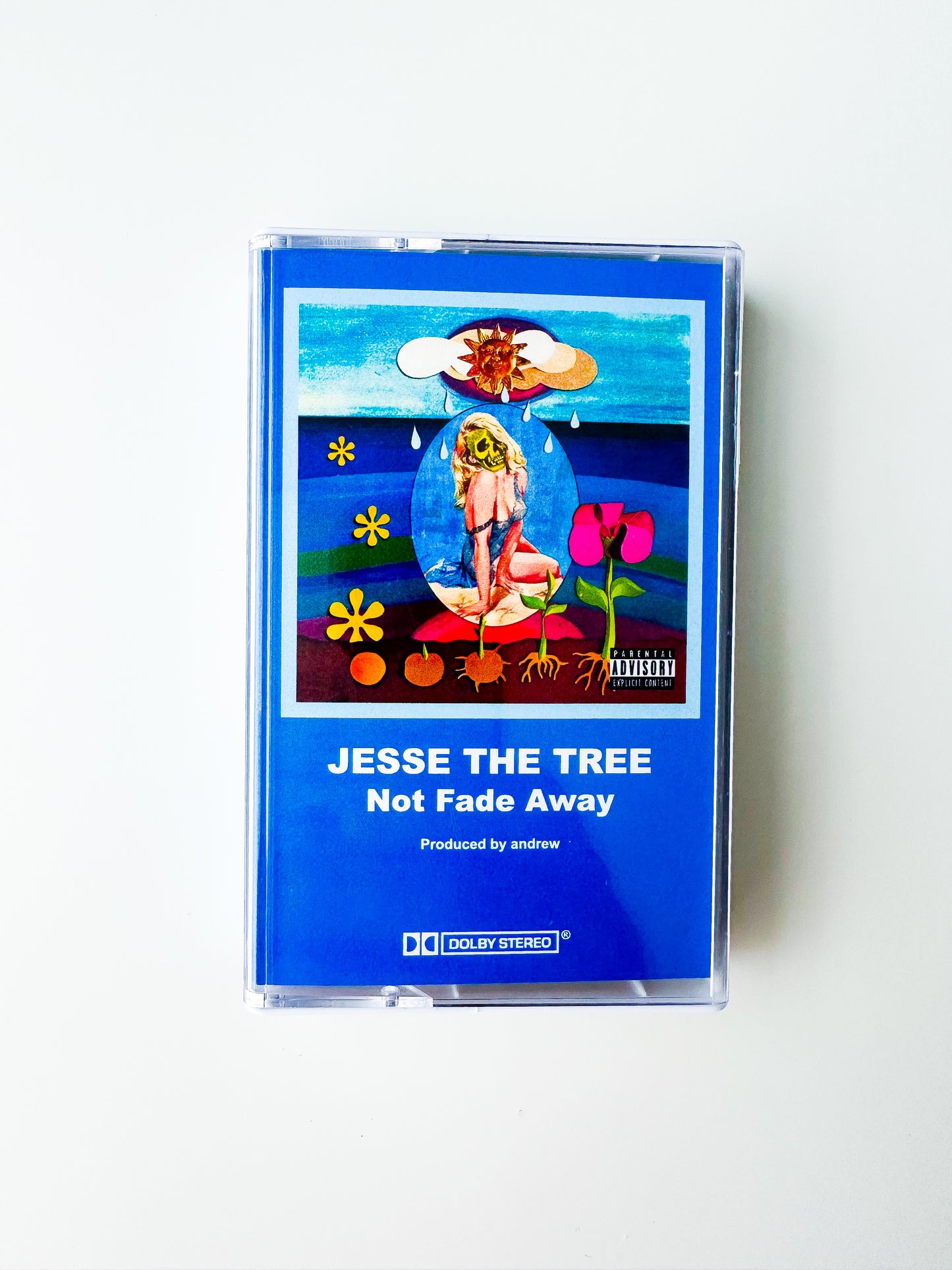 Jesse The Tree - Not Fade Away - Cassette Tape